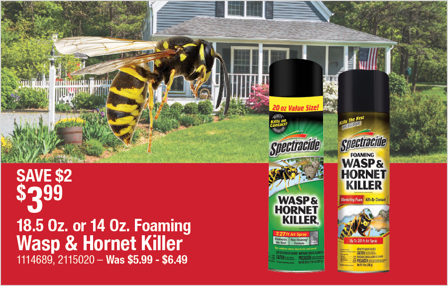 18.5 Oz. or 14 Oz. Foaming Wasp & Hornet Killer